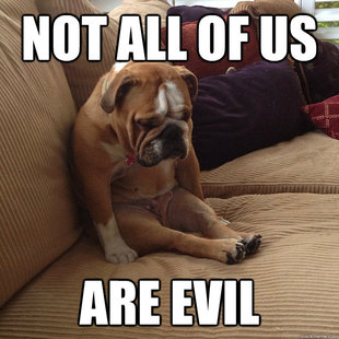 depressed dog