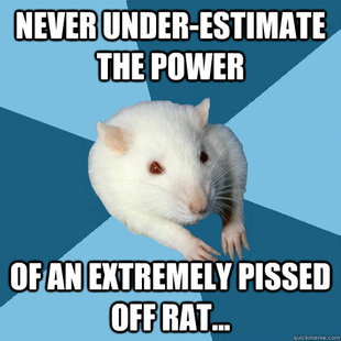 Psychology Major Rat