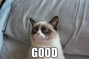 GrumpyCatOL