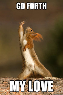 Who Run The World Squirrels