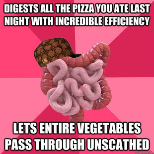 Scumbag Intestines