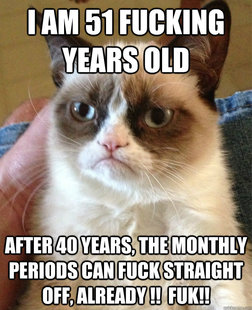 Grumpy cat