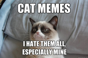 GrumpyCatOL