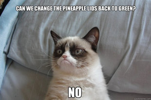 GrumpyCatOL