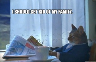 Sophisticated Cat