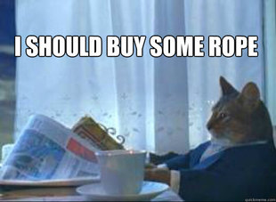 I should buy a boat cat