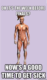 Scumbag Body