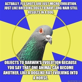 Religion Pigeon