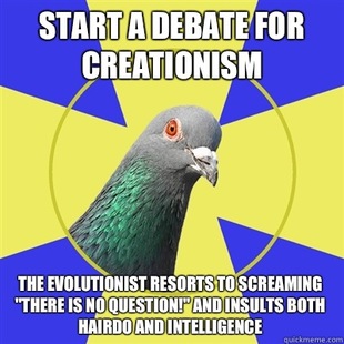 Religion Pigeon