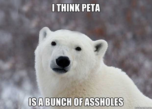 Popular Opinion Polar Bear