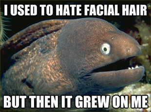 Bad Joke Eel
