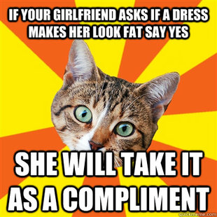 Bad Advice Cat