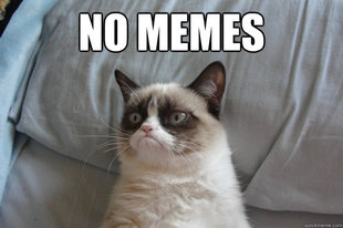 GrumpyCatOL