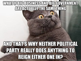 conspiracy cat