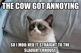 GrumpyCatOL
