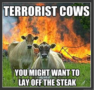 Evil cows