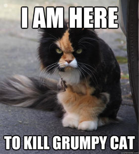 Evil Cat
