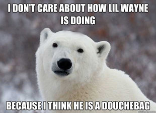 Popular Opinion Polar Bear