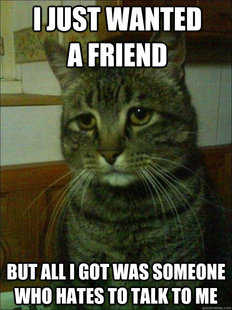 Depressed cat