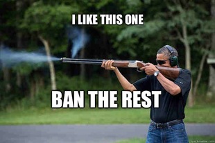 Obamas Got A Gun
