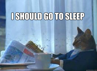 I should buy a boat cat
