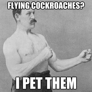 overly manly man