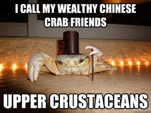 Fancy Crab