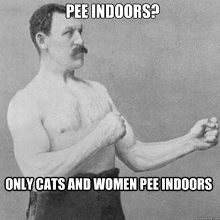 overly manly man
