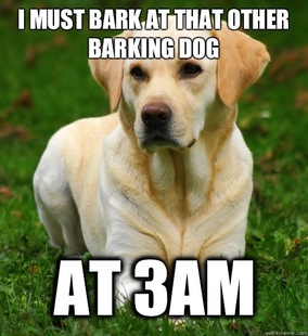 Dog Logic