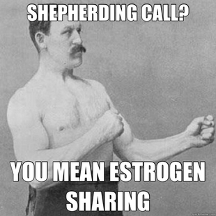 overly manly man