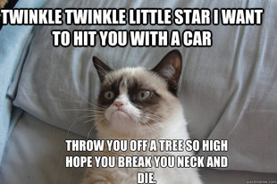 GrumpyCatOL