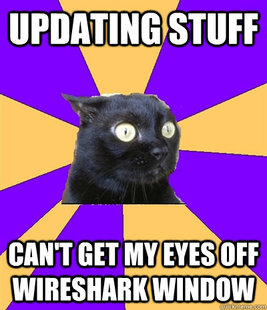 Anxiety Cat