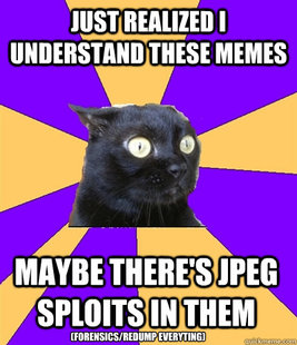 Anxiety Cat
