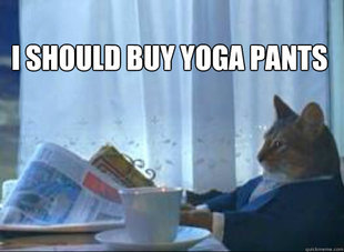I should buy a boat cat