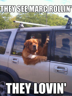 sup dawg.