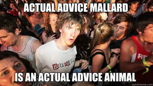 Sudden Clarity Clarence