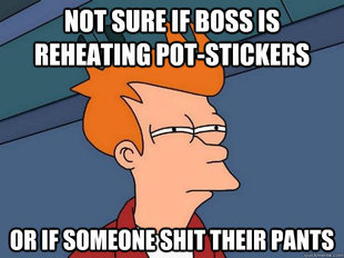 Futurama Fry