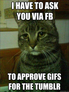 Depressed cat