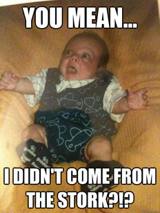 Surprise Baby