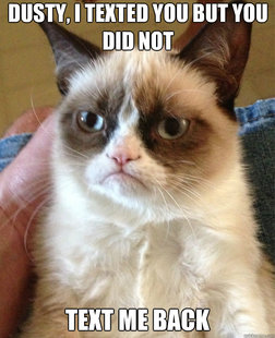 Grumpy Cat