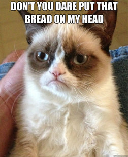 Grumpy Cat
