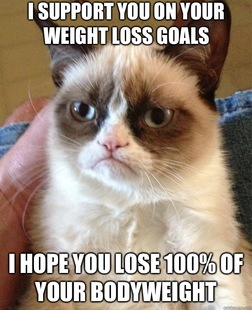 Grumpy Cat