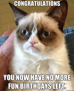 Grumpy Cat