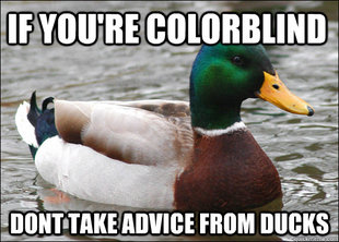Actual Advice Mallard