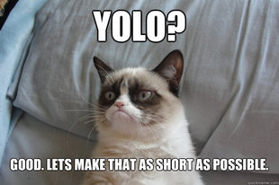 GrumpyCatOL