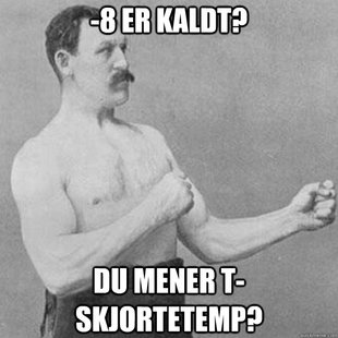 overly manly man