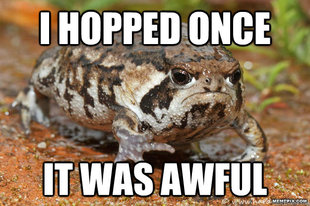 grumpy toad