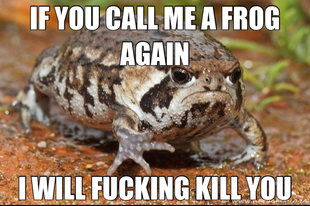 grumpy toad