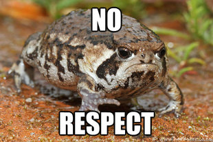grumpy toad