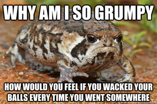 grumpy toad